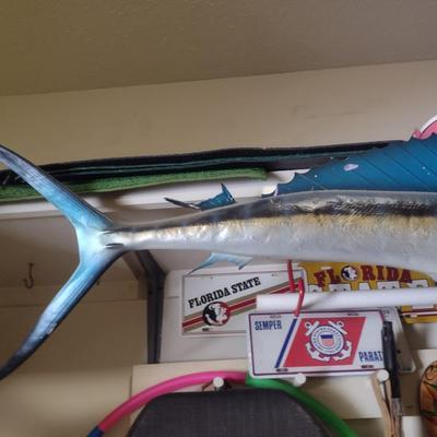 Mounted Sail Fish