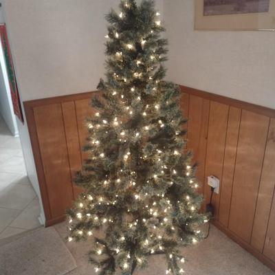 Lighted Christmas Tree