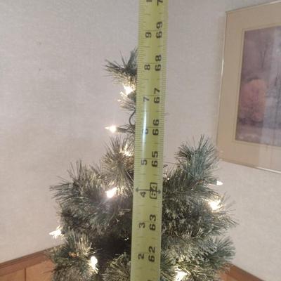 Lighted Christmas Tree