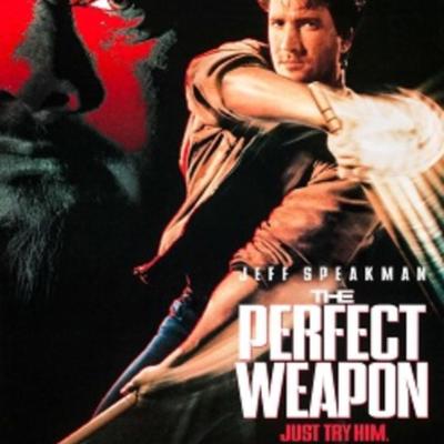 The Perfect Weapon 1991 original movie poster