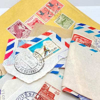 LOT 45: Large Stamp Collection - Stamps, Albums and Books