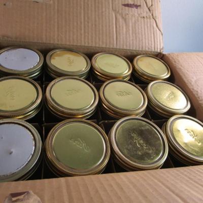 12 pint size canning jars & rings