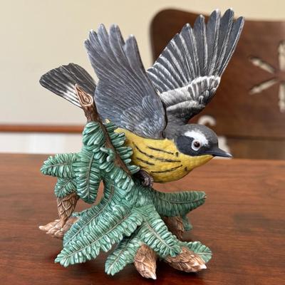 Magnolia Warbler
