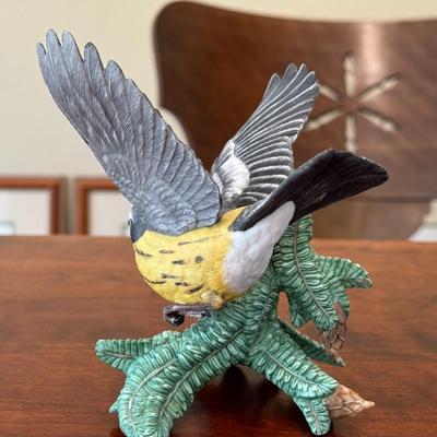 Magnolia Warbler