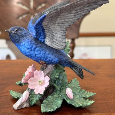 Purple Martin