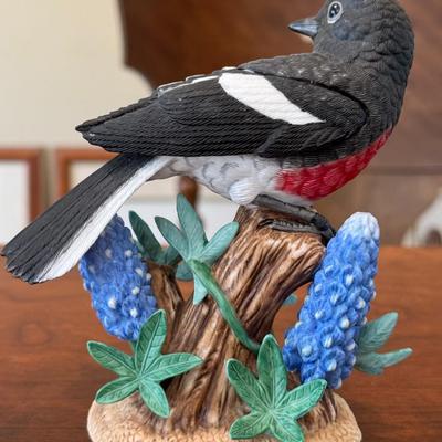 Painted Redstart
