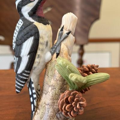 Yellow Bellied Sapsucker