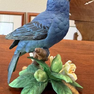 Indigo Bunting