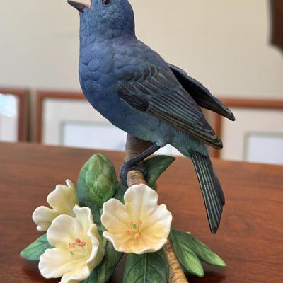Indigo Bunting