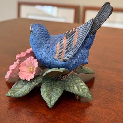 Blue Grosbeak