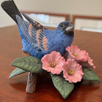 Blue Grosbeak