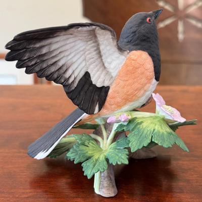 Rufous-sided Towhee