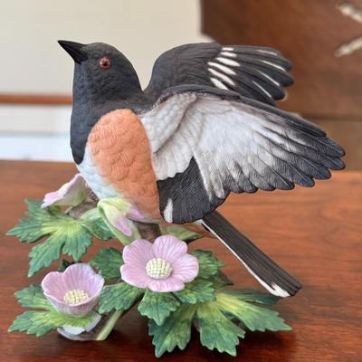 Rufous-sided Towhee