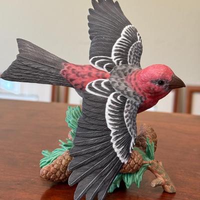 Pine Grosbeak