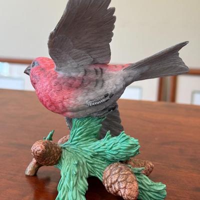 Pine Grosbeak
