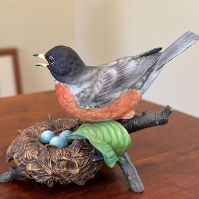 American Robin