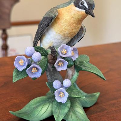 Yellow Breasted Chat