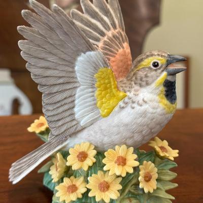 Dickcissel