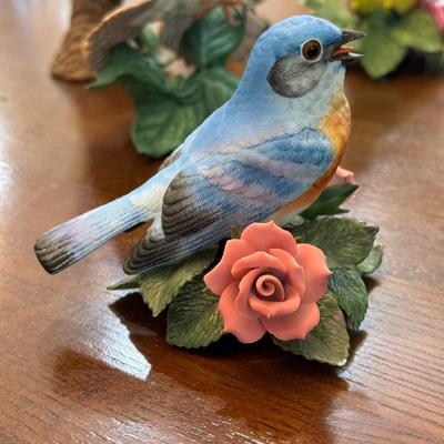 Eastern Bluebird