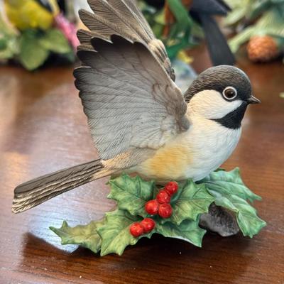 Chickadee