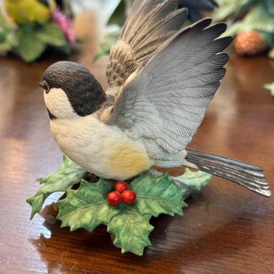 Chickadee