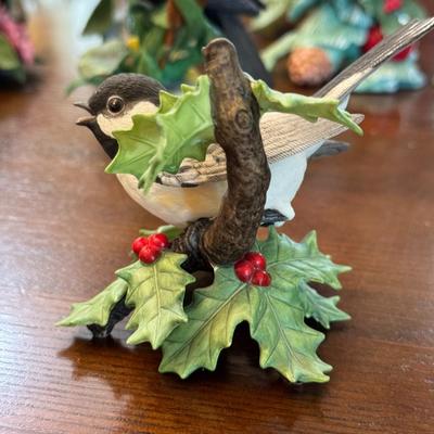 Black Capped Chickade