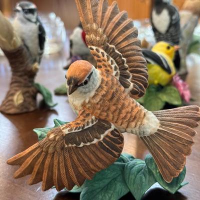 Chipping Sparrow