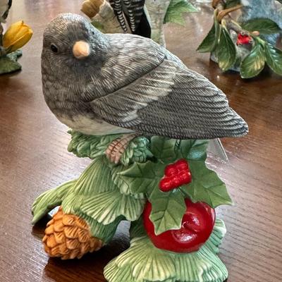 Christmas dark eyed Junco