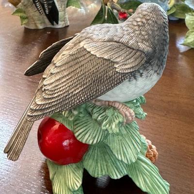 Christmas dark eyed Junco