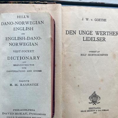 Antique Norwegian/Scandinavian books