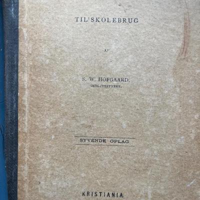 Antique Norwegian/Scandinavian books