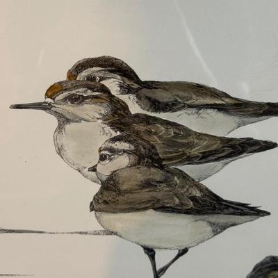 LOT 125B: Two Signed & Numbered Bird Themed Prints