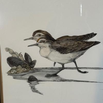 LOT 125B: Two Signed & Numbered Bird Themed Prints