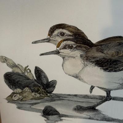 LOT 125B: Two Signed & Numbered Bird Themed Prints