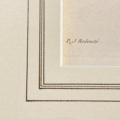 LOT 13: Framed Artwork "Pervenche" by Artist Pierre Joseph Redoute'