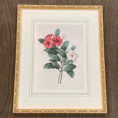 LOT 13: Framed Artwork "Pervenche" by Artist Pierre Joseph Redoute'