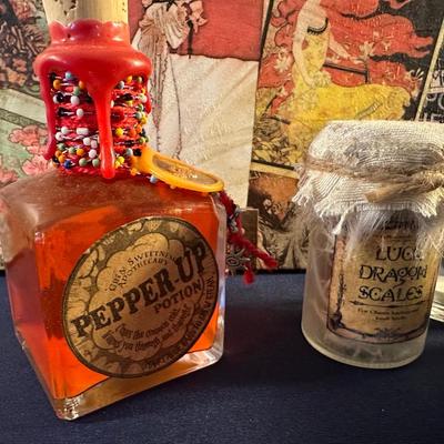 HARRY POTTER POTIONS AND MORE LOT