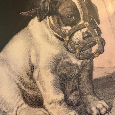 FOR THE SAFETY OF THE PUBLIC FRAMED DOG PRINT