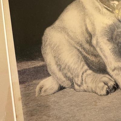FOR THE SAFETY OF THE PUBLIC FRAMED DOG PRINT
