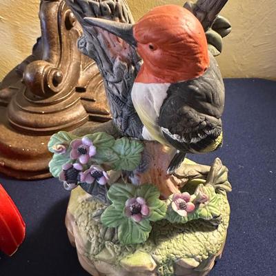 BIRD LOT