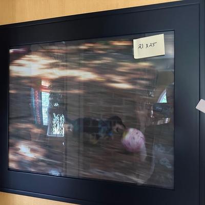 FRAMED DOG PHOTOGRAPH