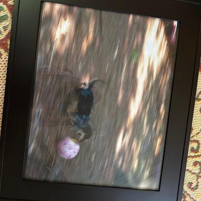 FRAMED DOG PHOTOGRAPH