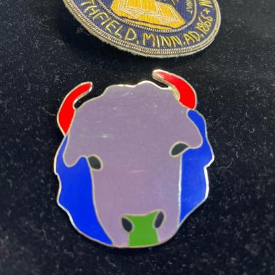 Buffalo enamel & Northfield MN pins