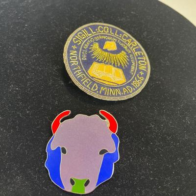 Buffalo enamel & Northfield MN pins