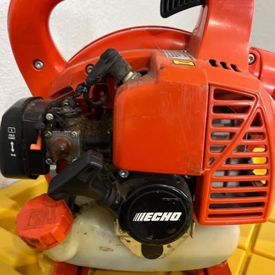 Echo gas powered leaf blower