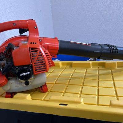 Echo gas powered leaf blower