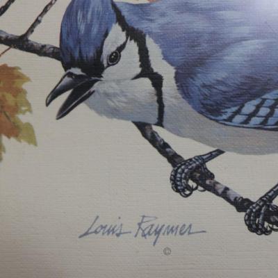 Framed and Bordered Print of Blue Jay