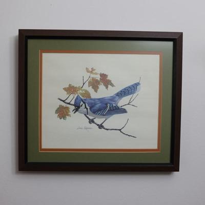Framed and Bordered Print of Blue Jay
