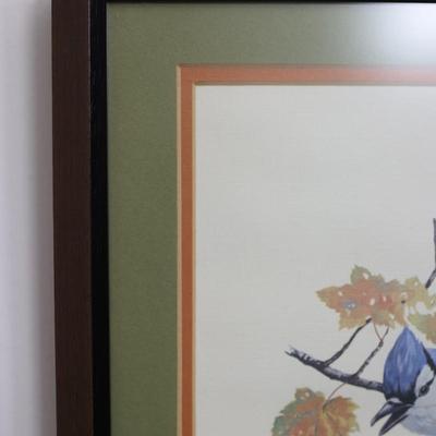 Framed and Bordered Print of Blue Jay