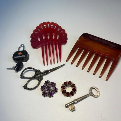 Amethyst & ruby brooches with extras